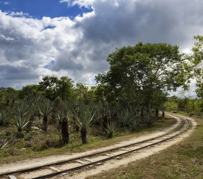 Yucatan Peninsula railway