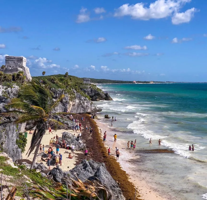 Sargassum-in-Tulum