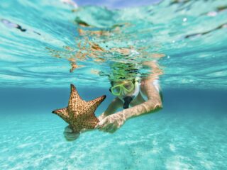 Why You Have To Try Snorkeling While Vacationing In Cancun