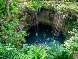 Take a dip in an ancient and absolutely breathtaking Cenote for an experience of a lifetime! These sinkholes are full of clean water, unique plant life and are known to be up to 119 meters deep in some parts of the Mexican Caribbean. Here are 5 highly attractive cenotes to add to your bucket list, and some things to know along the way.