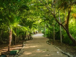 Aside from picturesque white sand beaches and some of the best all inclusive resorts in the world, Cancun has some very charming trails to explore. Whether you’re traveling by foot or by car, looking for a quick stroll or a day drive, there is something for everyone to enjoy. Here are 5 top rated trails to check out while you’re visiting Cancun.
