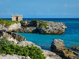 With the steady increase of flights available for travelers to visit Cozumel, Here are 7 highly rated tours in Cozumel for you to enjoy.