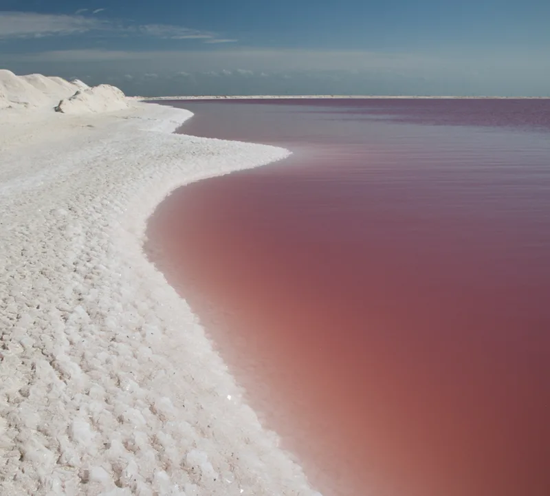 Las Coloradas