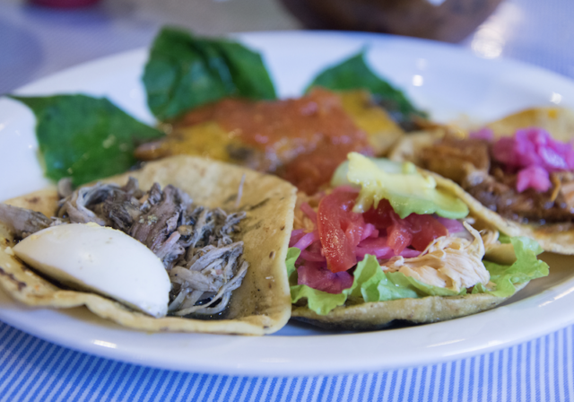 Top 7 Cancun Food Dishes That Visitors Should Try - Cancun Sun