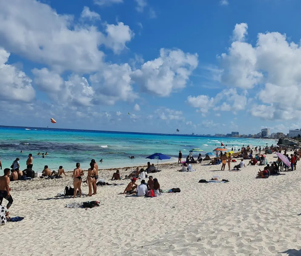 Sargassum-seaweed-flowing-in-ocean-cancun