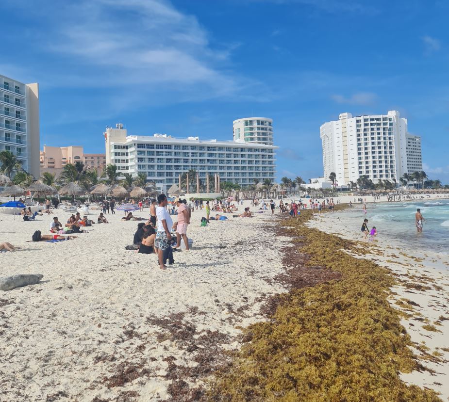 Seaweed Piles Up On Cancun Hotel Zone Beaches