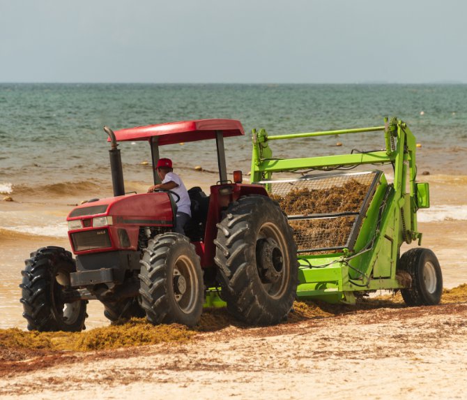 seaweed-tractor-cleaning