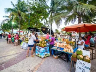Just like beaches, Cancun has no shortage of markets to check out. From luxury products to artisanal crafts, vintage items and of course, incredibly fresh fruit and vegetables - these markets have everything you need and then some. Beyond the typical touristy elements of the island, you can get a real taste of the true vibrancy of Mexican culture while wandering through the local markets. Grab a fresh juice, a couple souvenirs and perhaps take in the essence of a mariachi band at one of these 7 best markets in Cancun