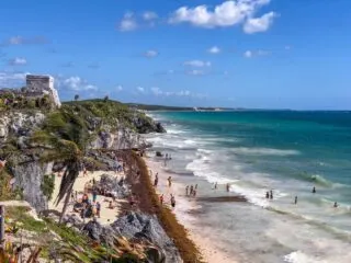 Large Amounts Of Seaweed Expected In Cancun And The Mexican Caribbean