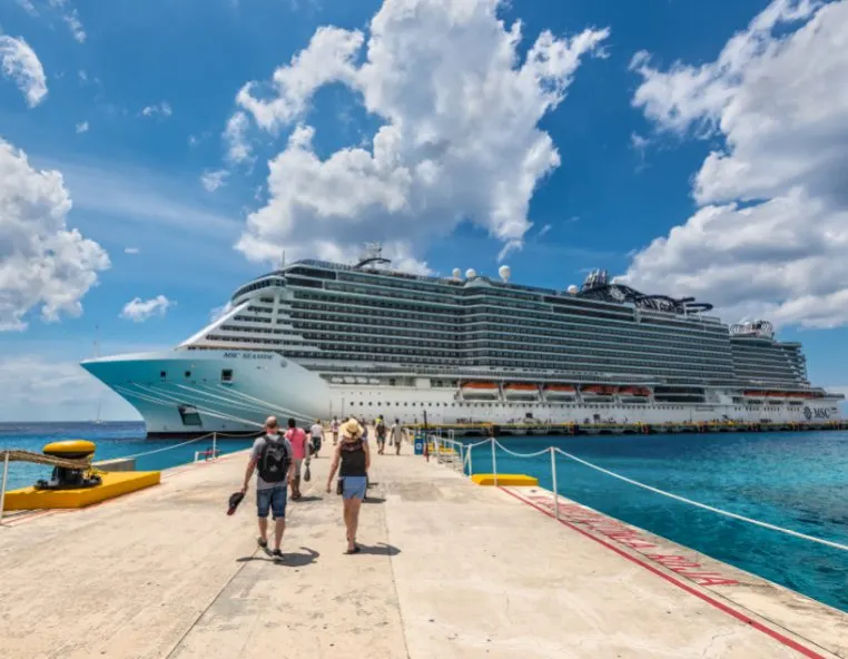 Cozumel Cruises To Return In Summer 2021 Despite Opposition To New Cruise  Dock - Cancun Sun