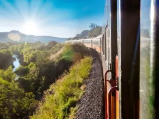 Work on the northern section of the highly anticipated Maya Train is to begin in October, confirmed Head of the National Fund for the Promotion of Tourism (Fonatur), Rogelio Jiménez Pons this week. This part of the project will see the first of the new railway lines laid between the key tourist destinations of Cancun and Playa del Carmen.