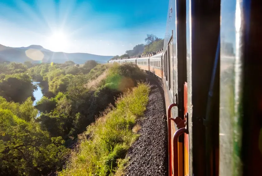 Work on the northern section of the highly anticipated Maya Train is to begin in October, confirmed Head of the National Fund for the Promotion of Tourism (Fonatur), Rogelio Jiménez Pons this week. This part of the project will see the first of the new railway lines laid between the key tourist destinations of Cancun and Playa del Carmen.