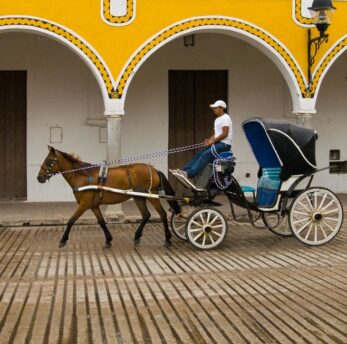 day trips from cancun izamal