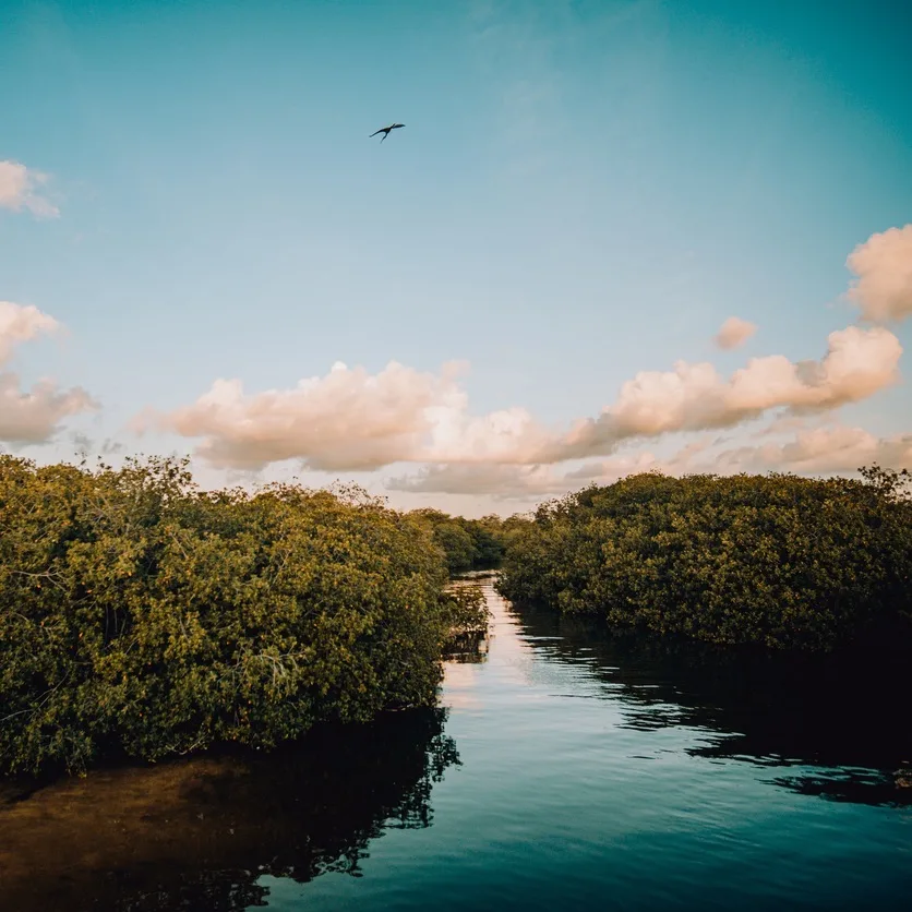 unpolluted nature reserve