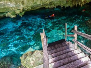 The Top Cenotes To Visit On Your Trip To Tulum