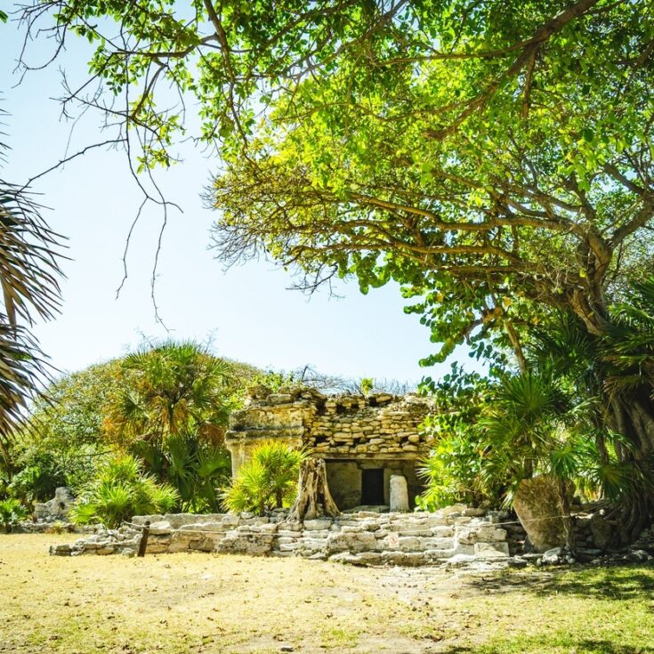 Top 10 Things to Do While Visiting Playa Del Carmen Cancun Sun Top 10 Things to Do While Visiting Playa Del Carmen Cancun Sun