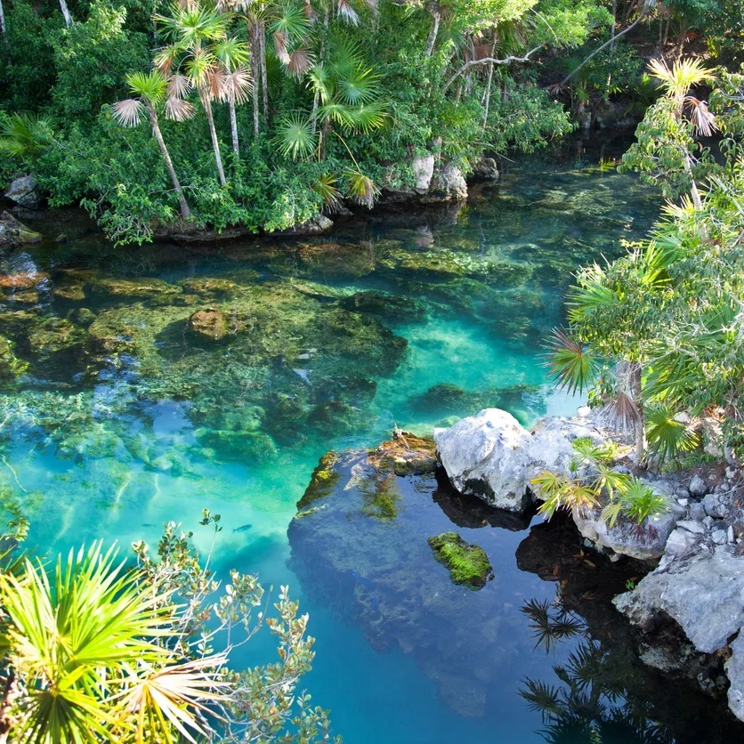 Cenote with beautiful turquoise water for snorkeling at Xel-Ha, Cancun.
