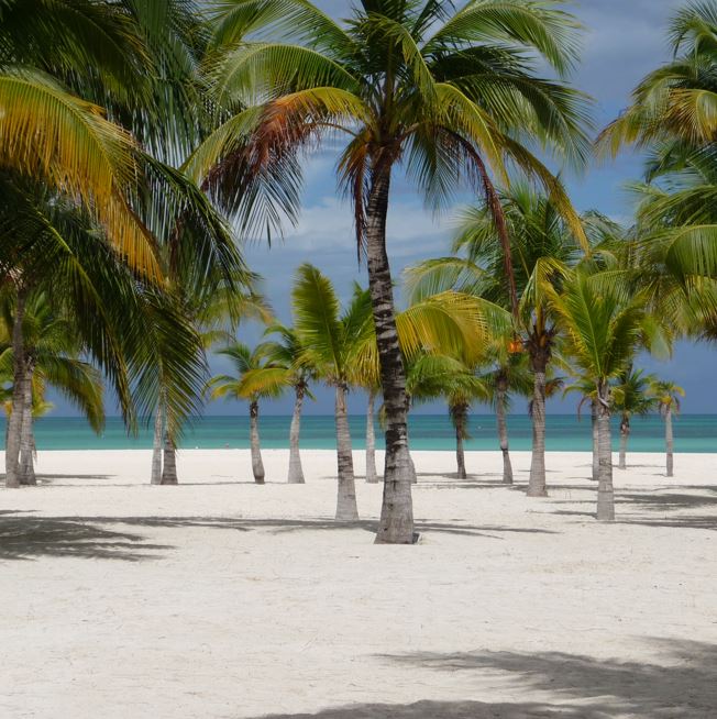 Passion Island; A Gem Of The Mexican Caribbean - Cancun Sun
