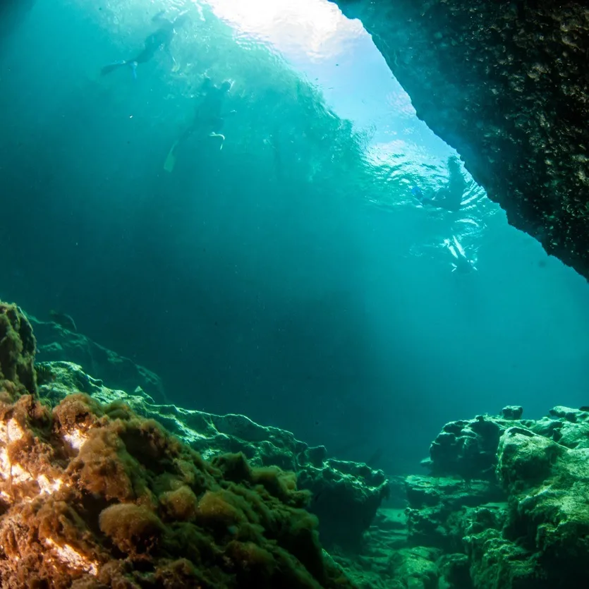 view of a cenote from underwater
