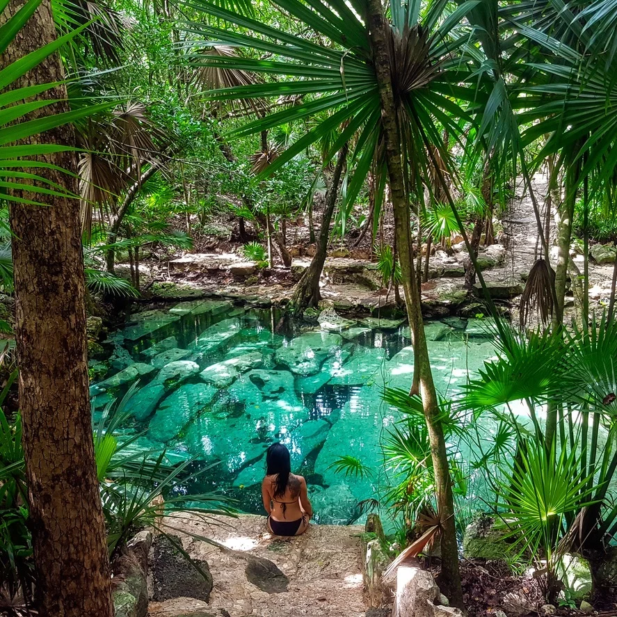 Green paradise cenote azul with palm trees and ruins at bottom of the water in the Riviera Maya, Yucatan Peninsula