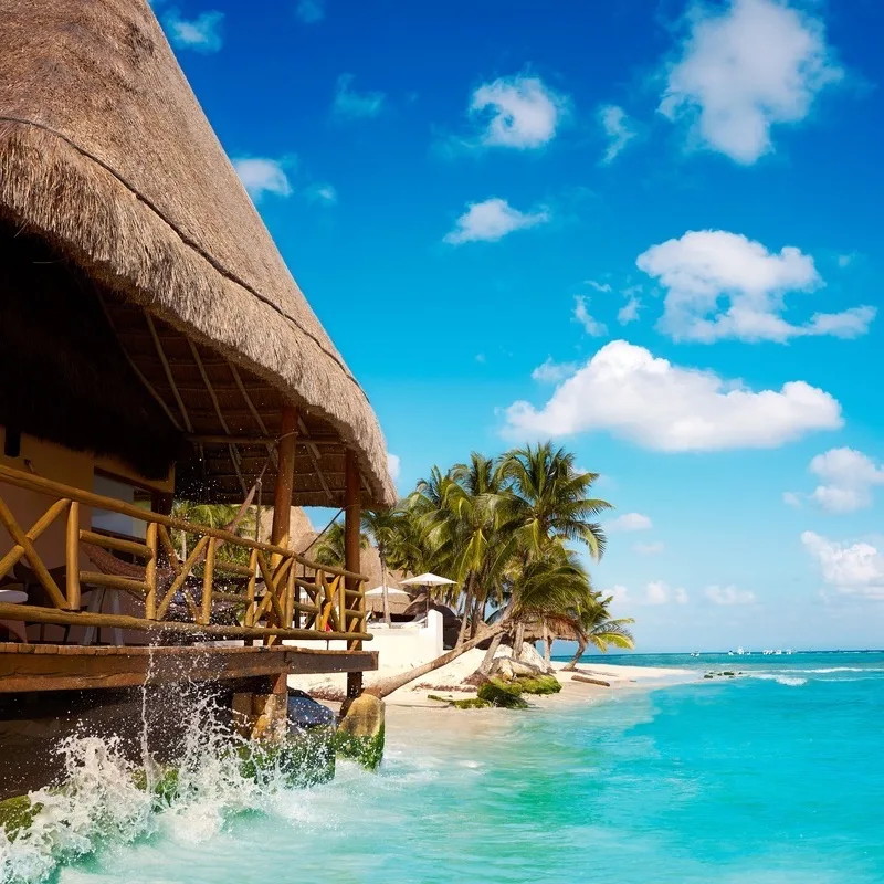 Palapa Roofs