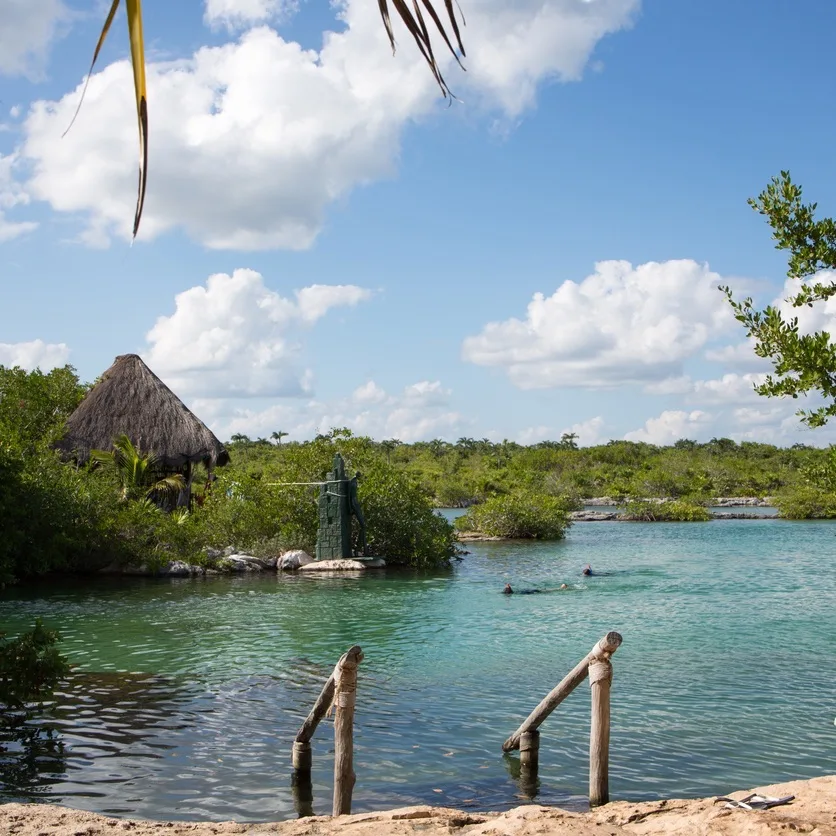 12-year-old gets attacked, dragged by crocodile on family vacation in Cancun