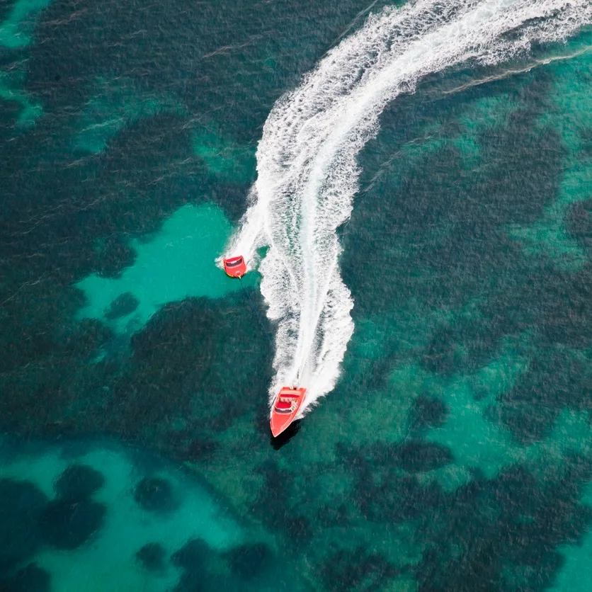 Speed boat speeding through the water.