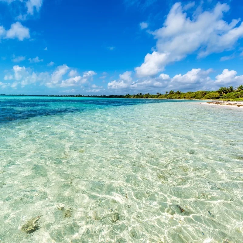 clear water next to a beach