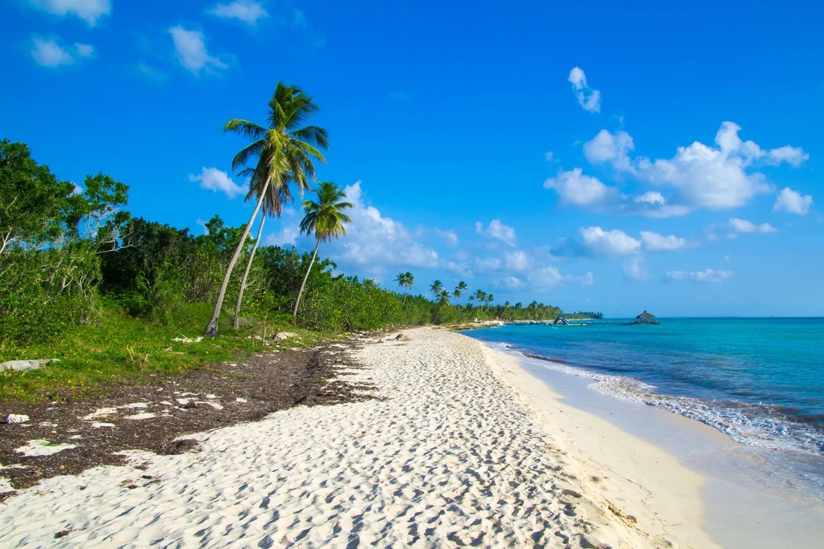 beautiful beach and tropical sea