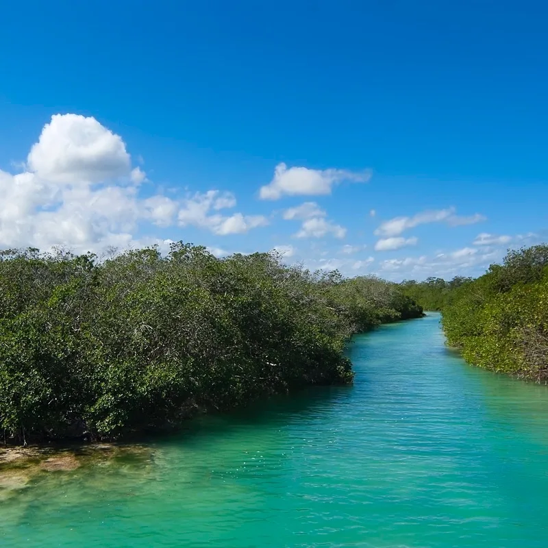 Sian Ka'an Biosphere Reserve