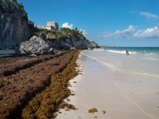 Cancun Begins Preparations To Fight Sargassum On Beaches