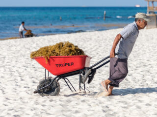 Cancun Hotels Begin Installing Sargassum Seaweed Barriers Ahead Of Surge