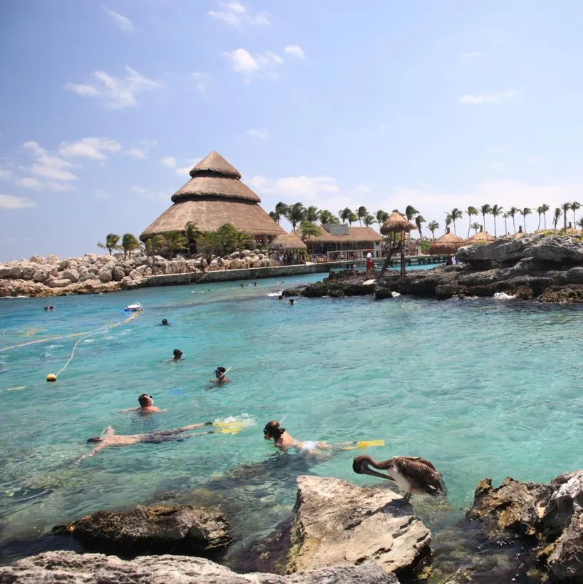 Snorkeling in riviera maya