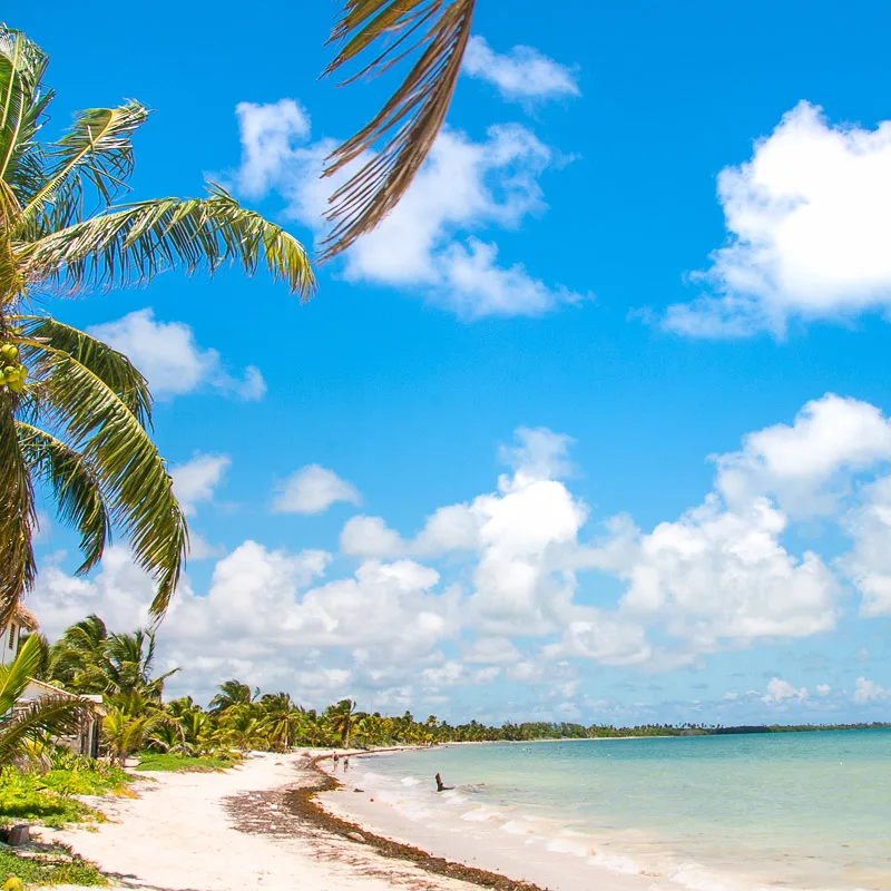 Isla Holbox with Very Little Sargassum on the Beach