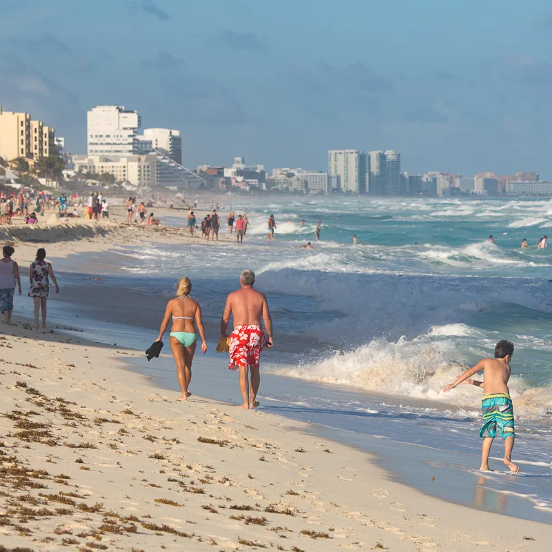 beach and surf