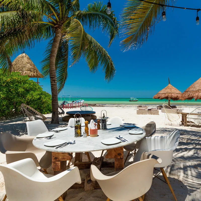 dining holbox