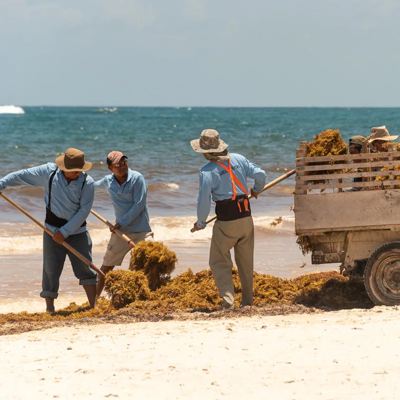 Working on Cancun beach