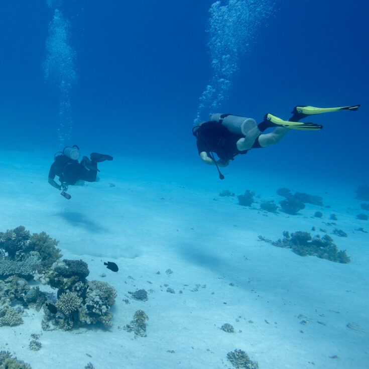 scuba diving killed in cancun