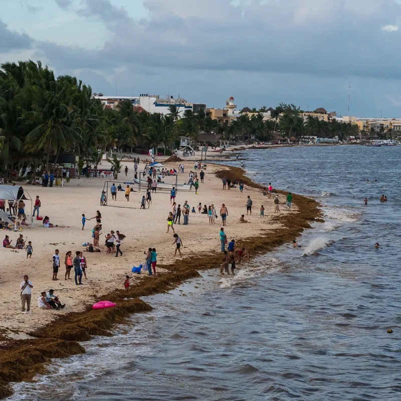 playa del carmen