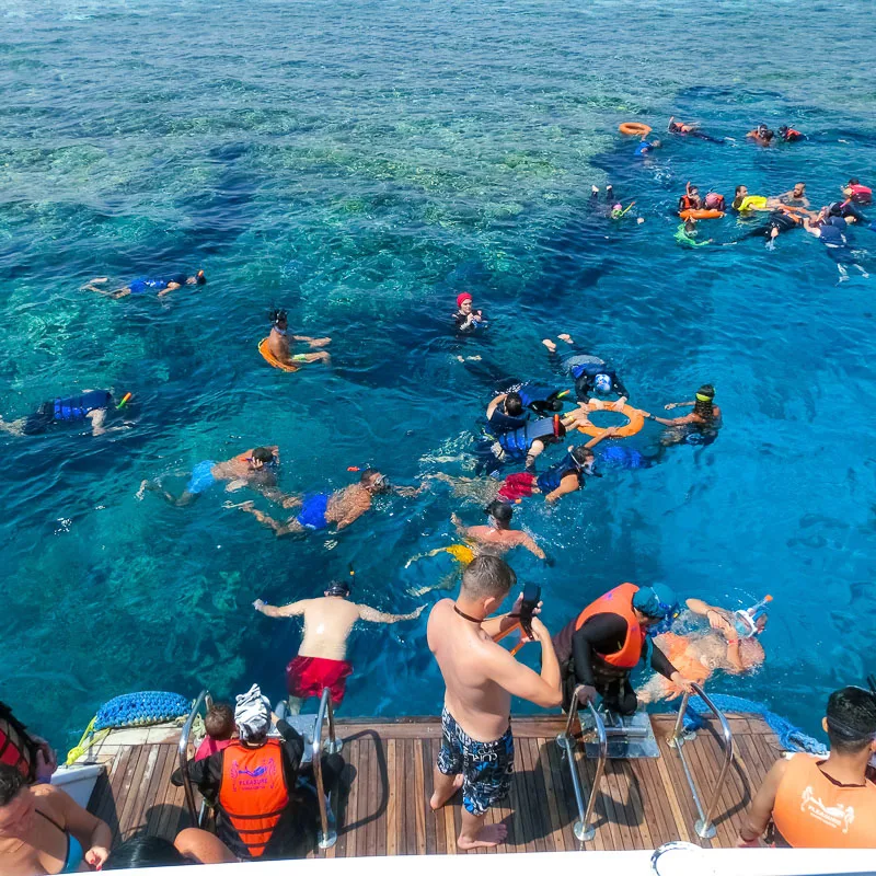 snorkeling