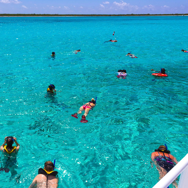 snorkelers