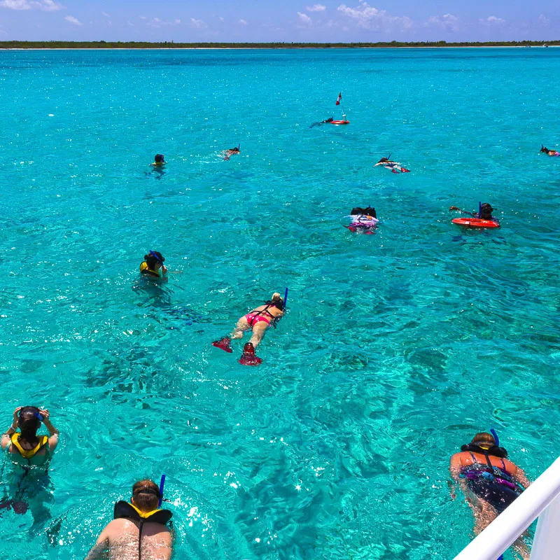 snorkelers