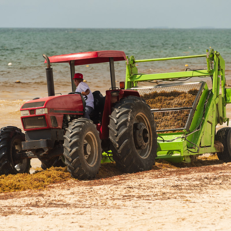 tractor for seaweed