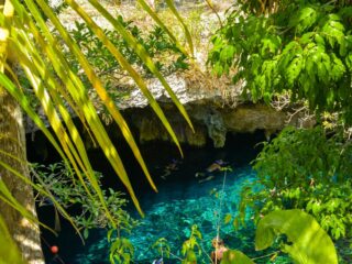 Russian Diver Drowns In Tulum Cenote