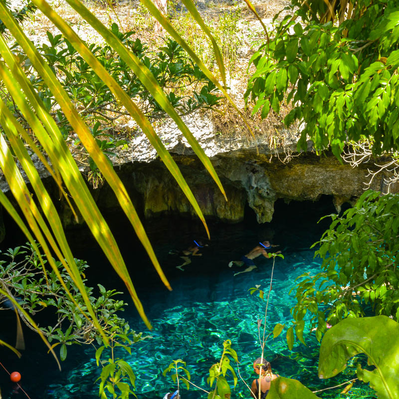 aerial view of a few swimmers in a cenote in Tulum area during the day, turquoise waters and greenery surrounding the cenote. 