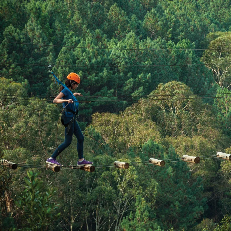 high ropes