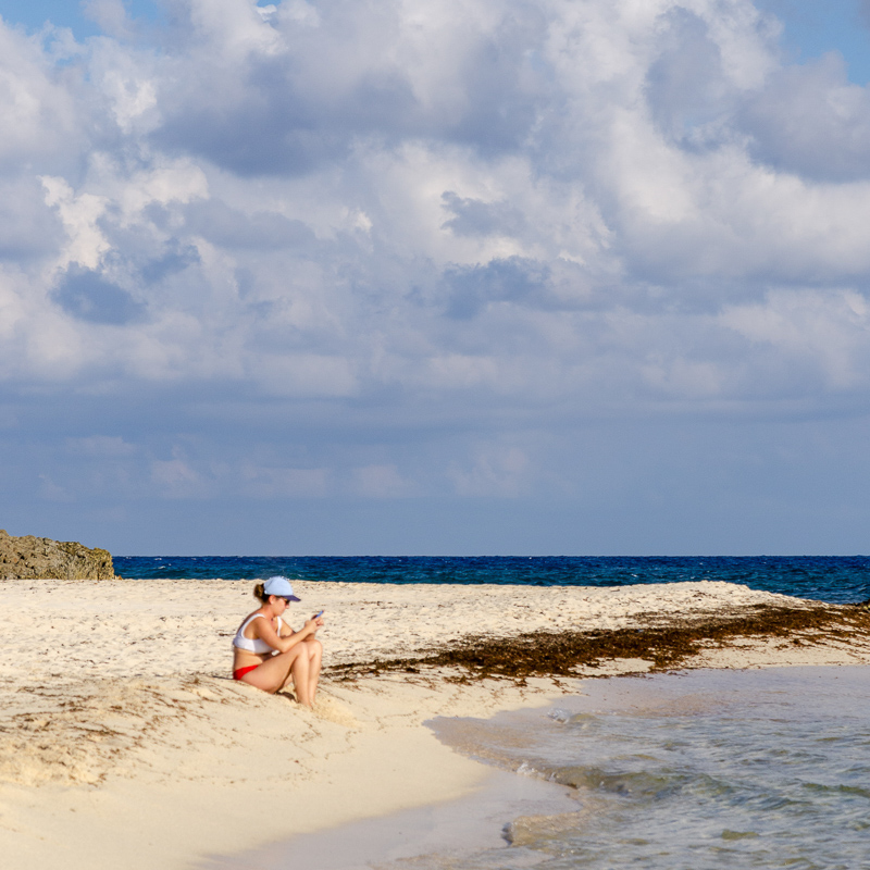 empty beach with sargassum