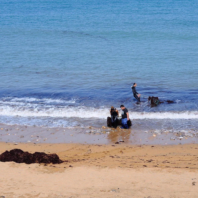 pulling seaweed from sea