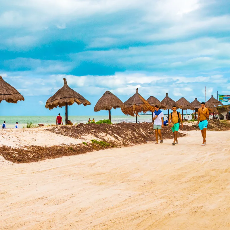 umbrellas on beach