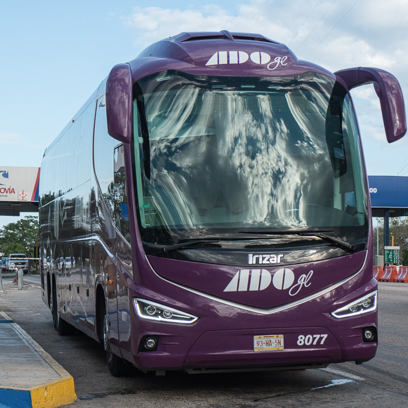 purple ado bus